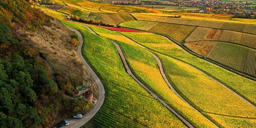 Wine, space and wanderlust in Iphofen