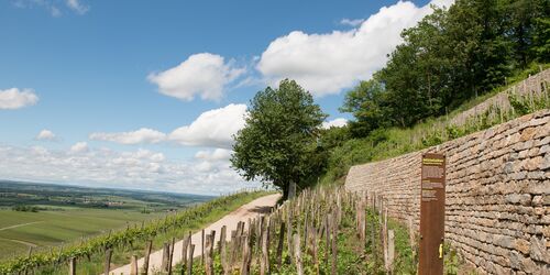 Fruehsommer am Schwanberg, Foto: Michael Koch, Lizenz: Stadt Iphofen