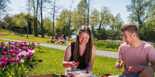 Picknick