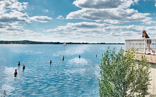 Auslauftulpe am Altmühlsee, Foto: Wegener, Lizenz: TV Fränkisches Seenland