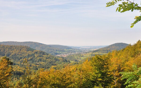 Pollasch, Foto: Michael Seiterle, Lizenz: Tourismus Spessart-Mainland