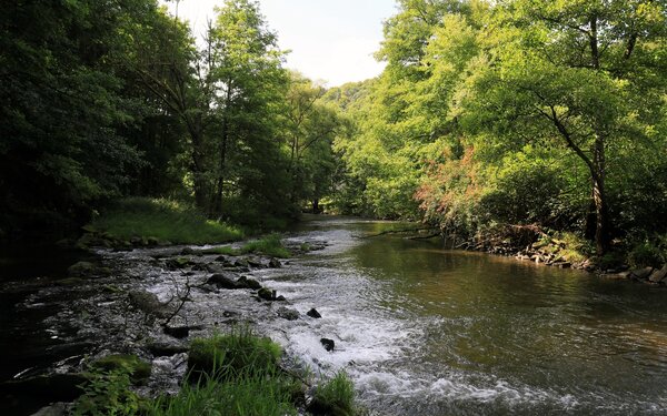 Im Sinngrund bei Obersinn, Foto: Uwe Miethe, Lizenz: DB AG