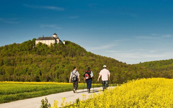 Schloss Greifenstein, Foto: A. Hub