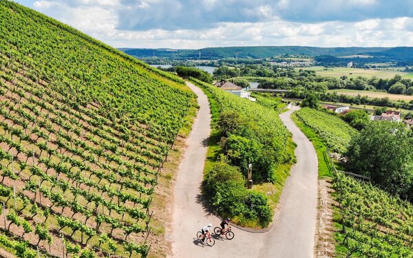 Weinberge im Abt Degen Weintal
