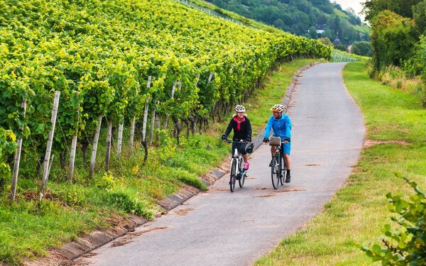 Weinberge Abt Degen Weintal