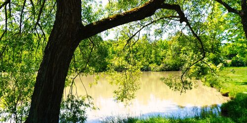 Wolfsee (Markt Bibart), Foto: Stefanie Binder