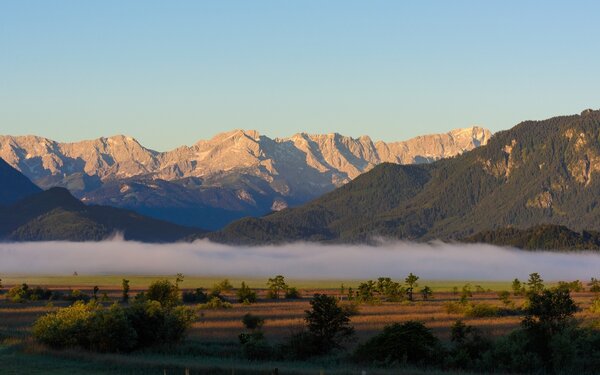 Blick über das Moos in die Berge, Foto: Wolfgang Ehn