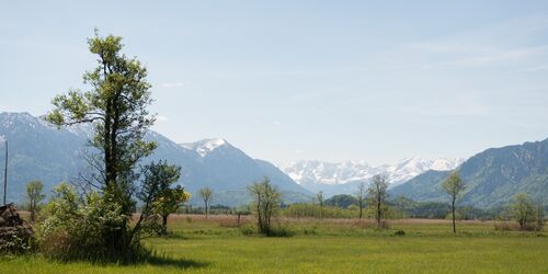 Blick vom Gasthaus Aehndl, Foto: Gasthaus Ähndl