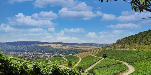 On the ZweiUferPanoramaweg from Retzbach to Thüngersheim