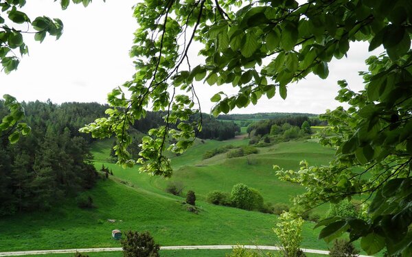 Naturschutzgebiet Kreutberg