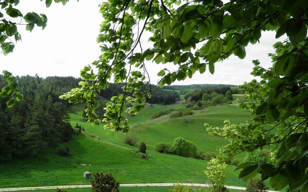 Naturschutzgebiet Kreutberg, Foto: Markt Altmannstein