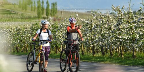 Panoramatour Lindau