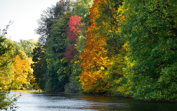 Regnitz im Hain - Bamberg Steigerwald