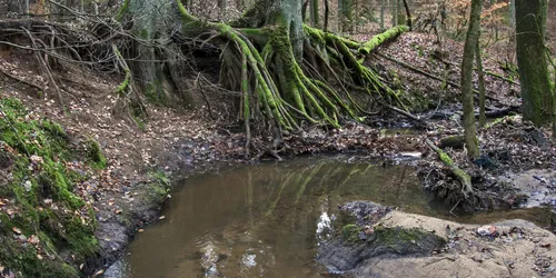 Rumpelbachschlucht, Röthenbach, Foto:  Derzno