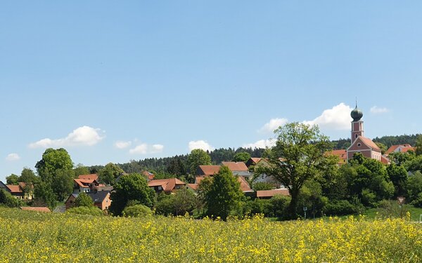 Landschaft bei Neumarkt