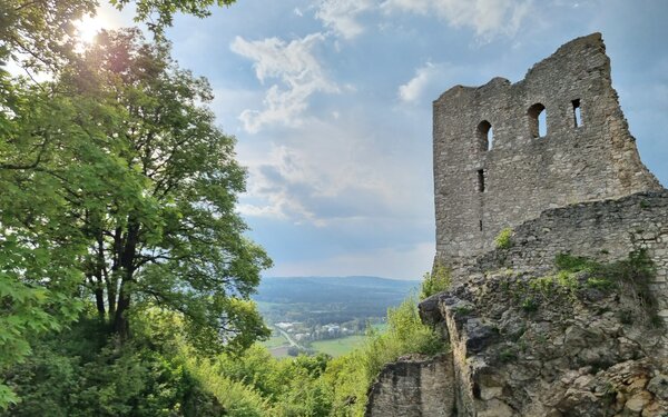 Burgruine Wolfstein