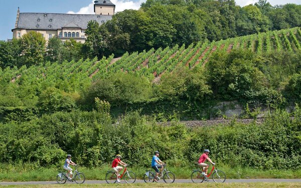 Radfahren am Main vorbei an Schloss Mainberg und Weinbergen, Foto: A. Hub