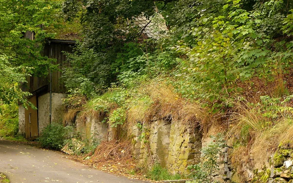 Felsenkeller Hohe Gasse, Foto: Wikipedia, Gliwi