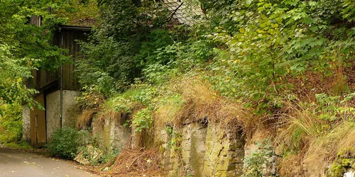 Felsenkeller Hohe Gasse, Foto: Wikipedia, Gliwi
