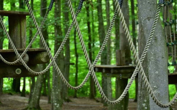 Foto: RitaE/pixabay.com