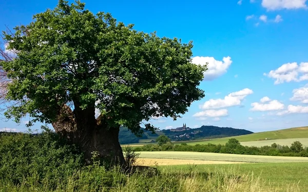 Nedensdorf, Foto: Kur_&_Tourismus_Service_Bad_Staffelstein