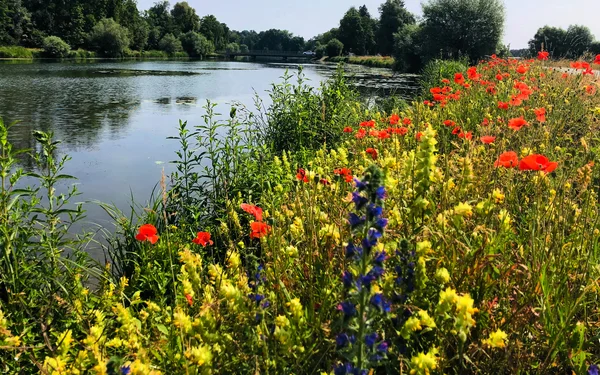 Spazierweg an der Amper, Foto: Stadt Dachau