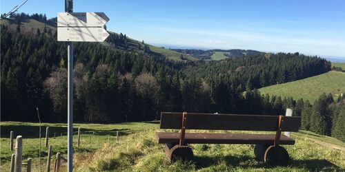 Sitzbank mit Blick auf grün bewachsene Hügel