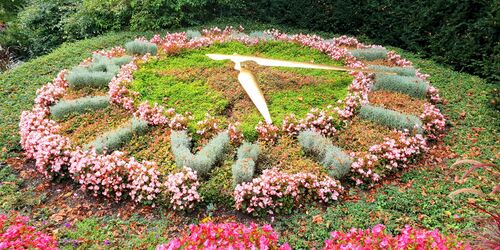 Frühlingshaft bewachsenes Blumenbeet