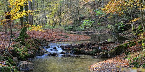 Bach auf Maisinger Schlucht Wanderweg