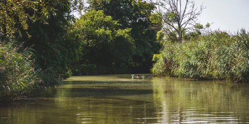 Abkühlung im Wörnitz-Flussbad in Wassertrüdingen