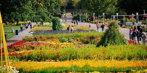 Blütenpracht im egapark