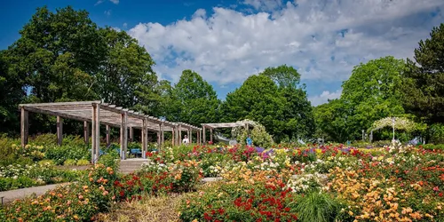 Blütenpracht im egapark