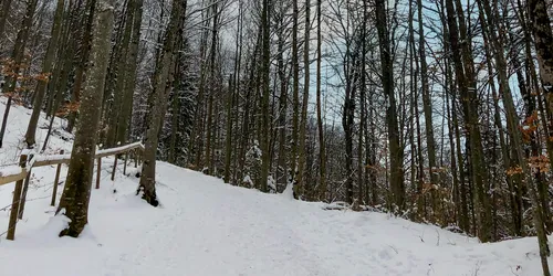 Dillberg: Hiking with outstanding views