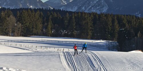 Cross-country skiing in the Ammergau Alps