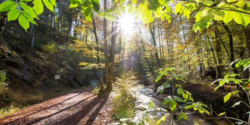 Hiking through the Maisinger Gorge