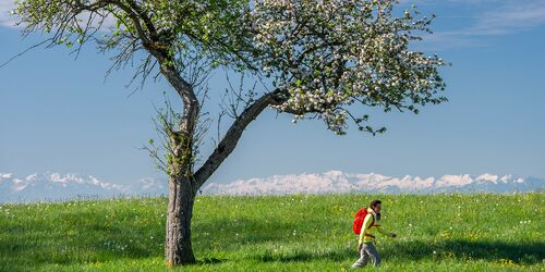 Hiking trip in the Allgäu: From Kaufbeuren to Bad Wörishofen