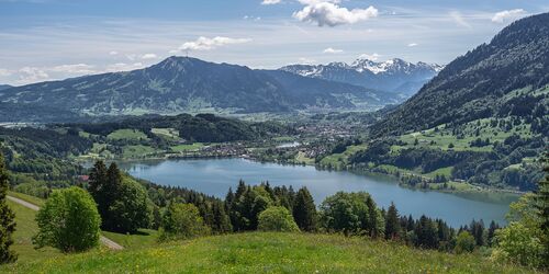 Großer Alpsee, the multifaceted nature experience in the Upper Allgäu: the Great Alpsee Loop Trail