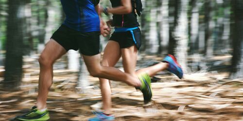 Zwei Jogger beim Lauf durch den Wald