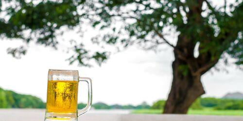 Bierkrug auf Tisch vor Waldlichtung