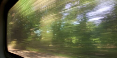 Blick auf Bäume aus Zugfenster