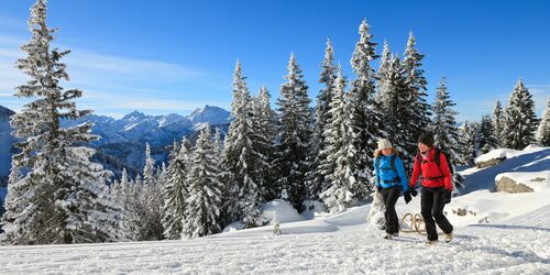 Sledding on the Breitenberg in the Allgäu