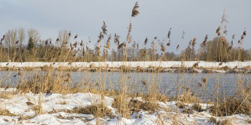 Stroll along the river Naab and drink in the majestic country air