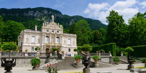 Blick auf das August-Schuster-Haus mit Wald im Hintergrund