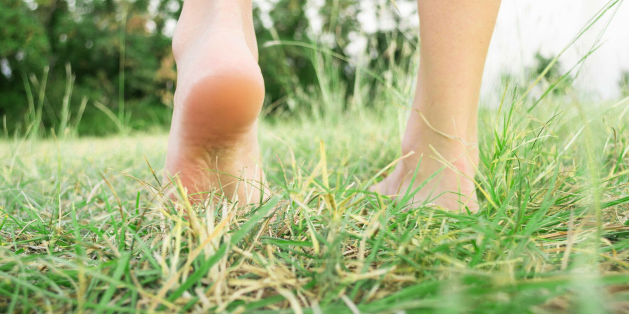 Barefoot In The Uk Discover Your Next Getaway - ma2apnx