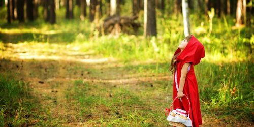 Visit Little Red Riding Hood at the Märchenwald (fairy tale forest) in Wolfratshausen