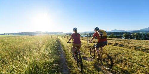 Zwei Radfahrer auf grün bewachsenem Fahrradweg